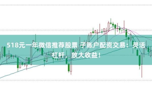 518元一年微信推荐股票 子账户配资交易：灵活杠杆，放大收益！