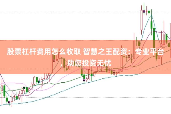 股票杠杆费用怎么收取 智慧之王配资：专业平台，助您投资无忧