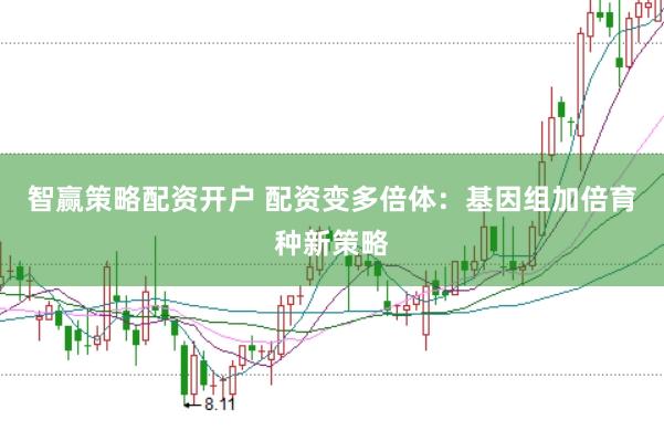 智赢策略配资开户 配资变多倍体：基因组加倍育种新策略