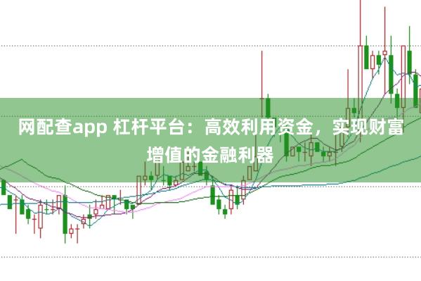 网配查app 杠杆平台：高效利用资金，实现财富增值的金融利器