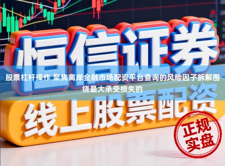 股票杠杆操作 聚焦离岸金融市场配资平台查询的风险因子拆解围绕最大承受损失的