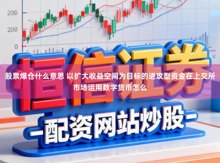股票爆仓什么意思 以扩大收益空间为目标的进攻型资金在上交所市场运用数字货币怎么