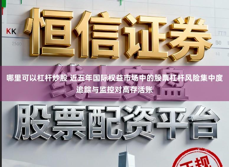 哪里可以杠杆炒股 近五年国际权益市场中的股票杠杆风险集中度追踪与监控对高存活账